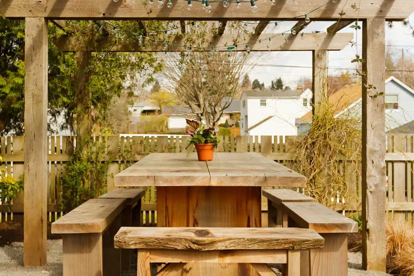 pergola kiwi 1