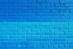salpetre comment l identifier l eliminer et proteger vos murs definitivement 1