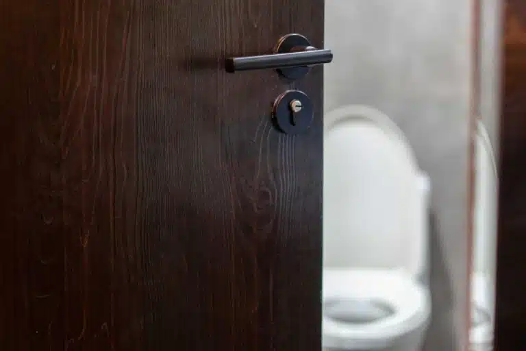 vers toilette 1